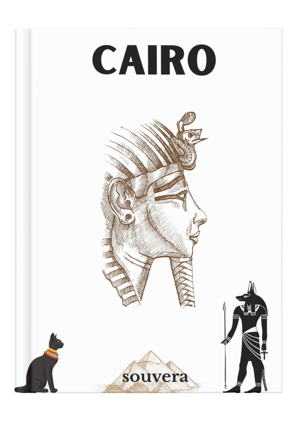Cairo 2 mock-up