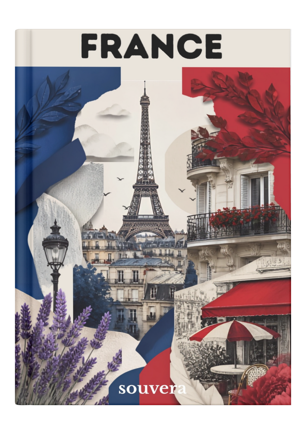 France 2 mock-up