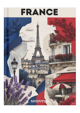 France 2 mock-up