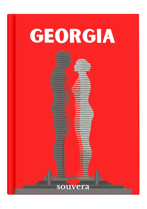 Georgia 2 mock-up