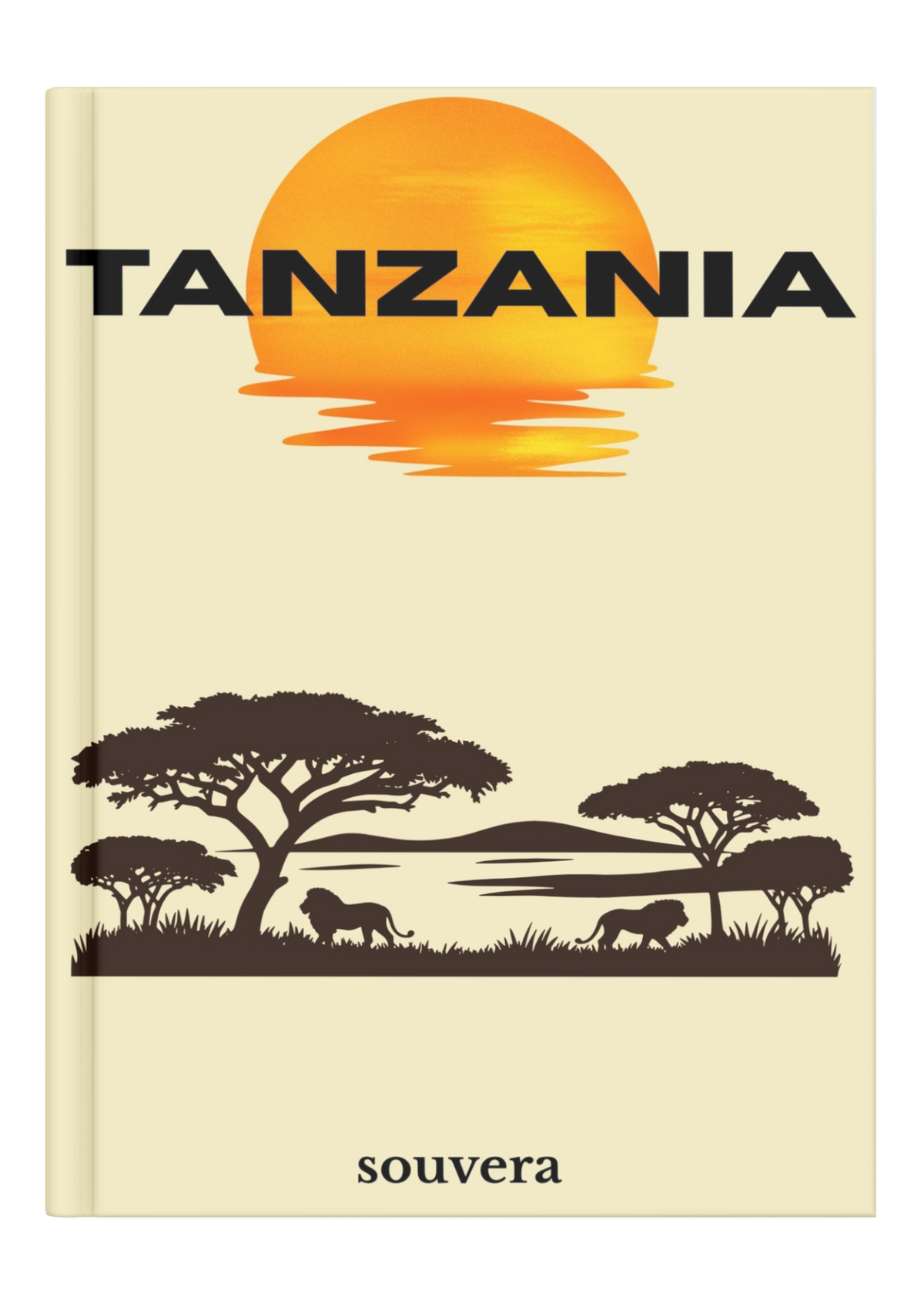 Tanzania 1 mock-up
