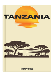 Tanzania 1 mock-up